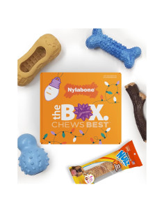 Caja de Regalo Nylabone para Perros Pequeños - 5 Juguetes y Golosina