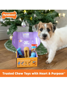 Caja de Regalo Nylabone para Perros Pequeños - 5 Juguetes y Golosina 2