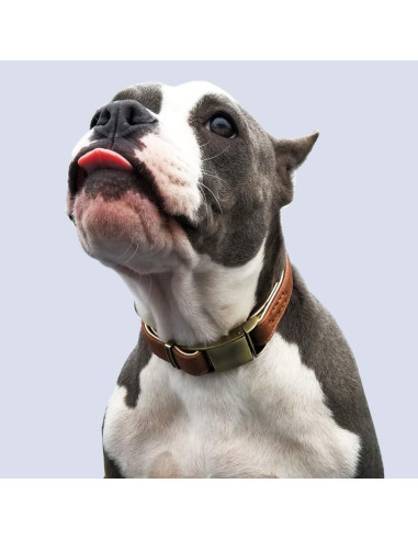 Collar de perro de cuero Chede pequeño 10-12.5 cm marrón