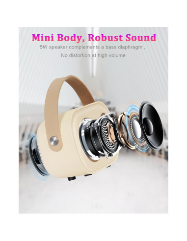 Mini Máquina de Karaoke PRUNUS C20 Portátil Bluetooth Beige
