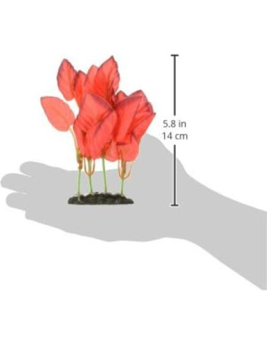 Planta de Seda Roja Marina Naturals 12.5-15 cm para Acuario
