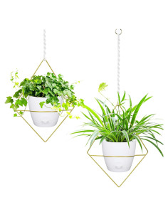 Macetas Colgantes Autorriego Koalaime 16.5cm 2 Piezas