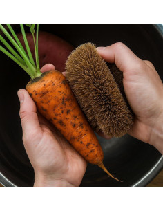 Paquete de 2 Cepillos TAWASHI de Coir para Limpieza de Verduras 2