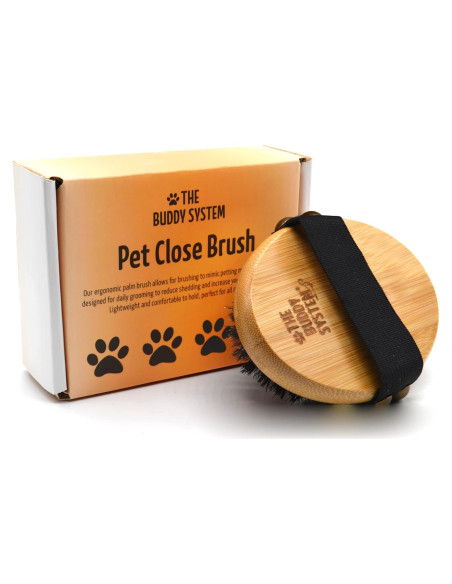 Cepillo de Palma Ovalado Buddy para Perros y Gatos - Cerdas Suaves