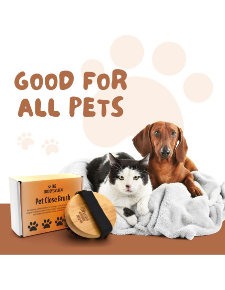 Cepillo de Palma Ovalado Buddy para Perros y Gatos - Cerdas Suaves