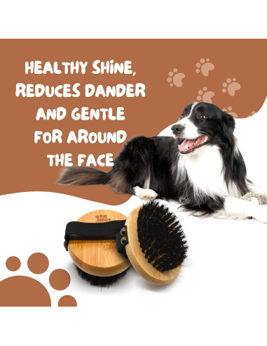 Cepillo de Palma Ovalado Buddy para Perros y Gatos - Cerdas Suaves