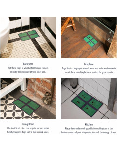 Trampas de Insectos Catcher Labs 48 Unidades Extra Pegajosas 2