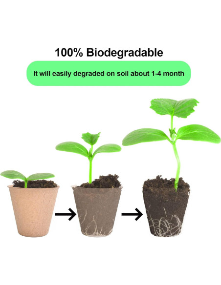 JERIA 50 Macetas de Turba 8 cm con Etiquetas para Plantas JERIA 50 Macetas de Turba 8 cm con Etiquetas para Plantas