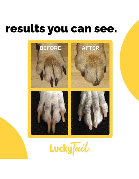Amoladora de Uñas para Perros LuckyTail - Cabezal de Repuesto - Calidad Premium - Punta de Diamante