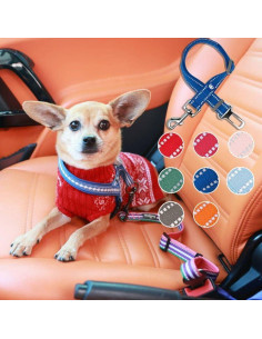 Cinturón de Seguridad Reflectante para Perros Blueberry Pet, Azul Bebé 2