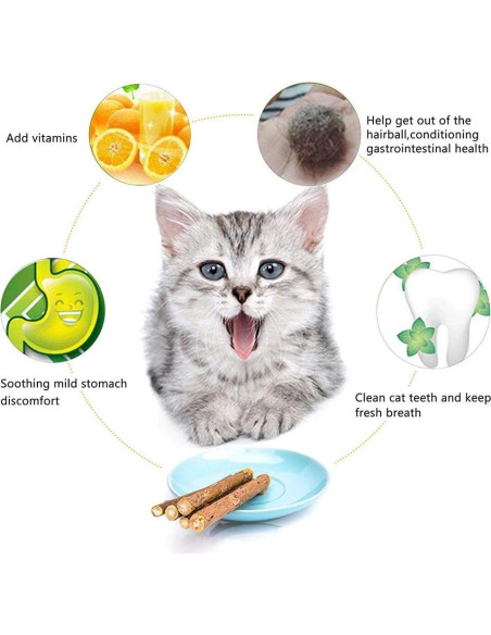 Palos de Silvervine para Gatos WoLover - 12 Unidades Naturales Palos de Silvervine para Gatos WoLover - 12 Unidades Naturales