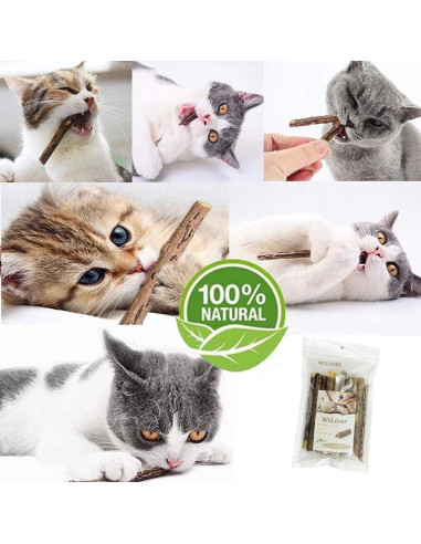Palos de Silvervine para Gatos WoLover - 12 Unidades Naturales