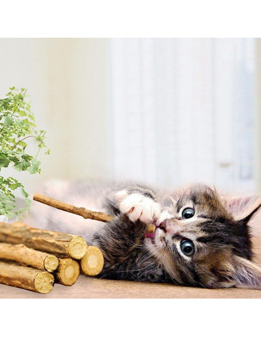 Palos de Silvervine para Gatos WoLover - 12 Unidades Naturales