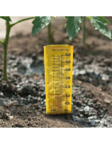 Pluviómetro AcuRite 00840A1 Amarillo Resistente a la Intemperie
