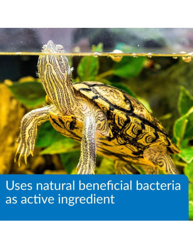 API Turtle Sludge Destroyer Limpiador de Acuario 240 ml