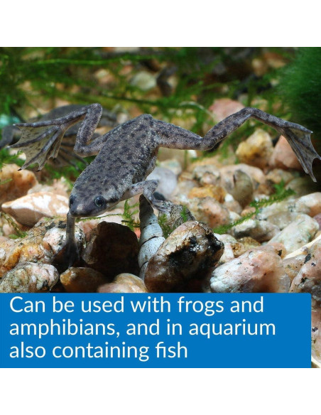 API Turtle Sludge Destroyer Limpiador de Acuario 240 ml