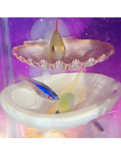 Paquete de 2 Casas de Descanso para Peces Betta Oncpcare 2