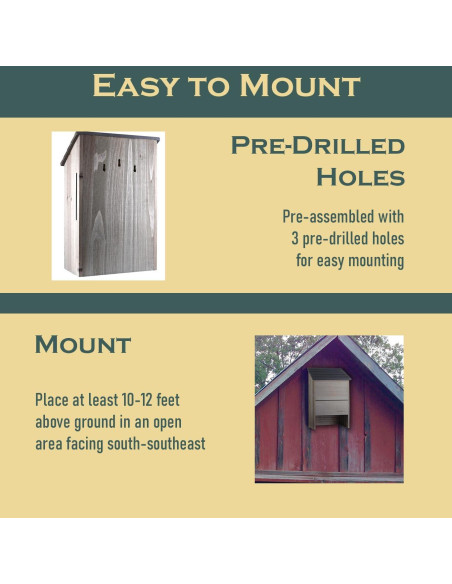 Casa de Murciélagos Grande North States 300 Murciélagos Gris