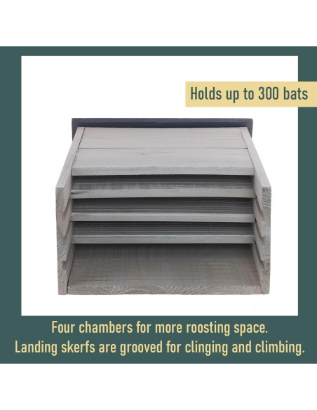 Casa de Murciélagos Grande North States 300 Murciélagos Gris