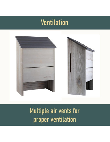 Casa de Murciélagos Grande North States 300 Murciélagos Gris