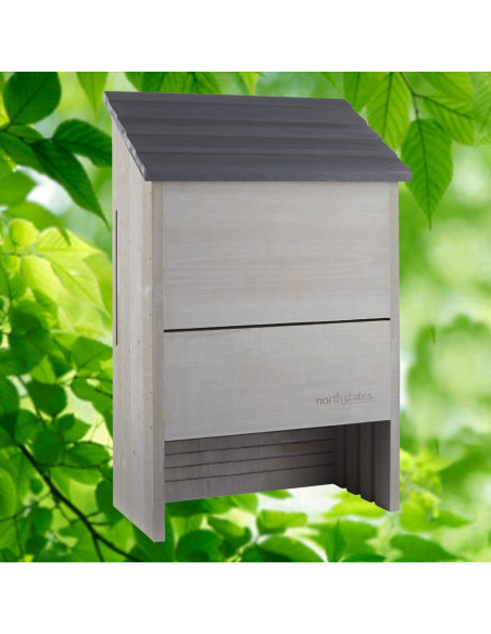 Casa de Murciélagos Grande North States 300 Murciélagos Gris