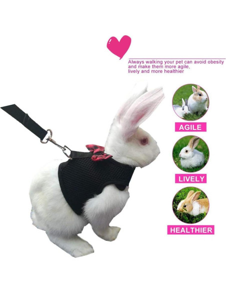 Arnés Ajustable para Conejo Wontee - Malla Suave, Negro, S