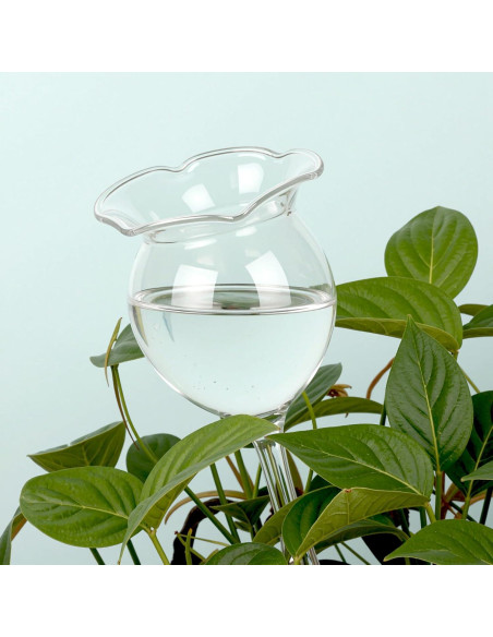 Regador de Plantas Adabocute 250ml - Picos de Autorriego Flor