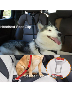 Arnés de Cinturón de Seguridad para Perros LNtech 3 en 1 Negro 2