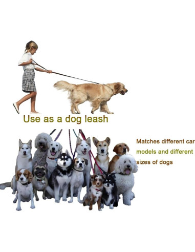 Arnés de Cinturón de Seguridad para Perros LNtech 3 en 1 Negro