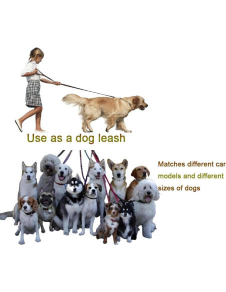 Arnés de Cinturón de Seguridad para Perros LNtech 3 en 1 Negro