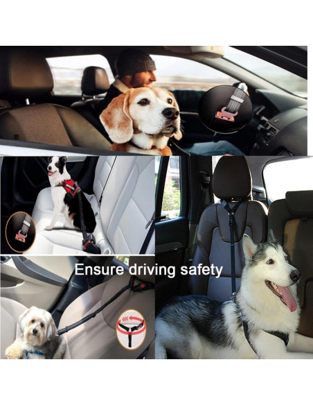 Arnés de Cinturón de Seguridad para Perros LNtech 3 en 1 Negro