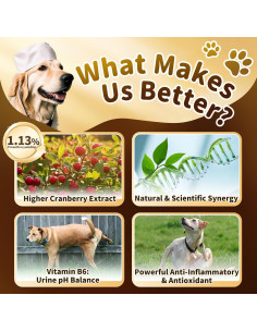 Gotas Herbales para UTI en Perros POPPAW 59ml Sabor Tocino 2