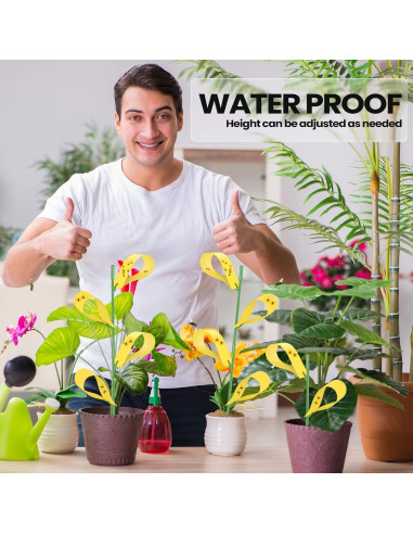 150 Trampas Adhesivas para Moscas de Hongos Qualirey Amarillo