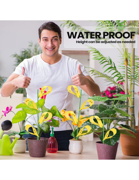 150 Trampas Adhesivas para Moscas de Hongos Qualirey Amarillo