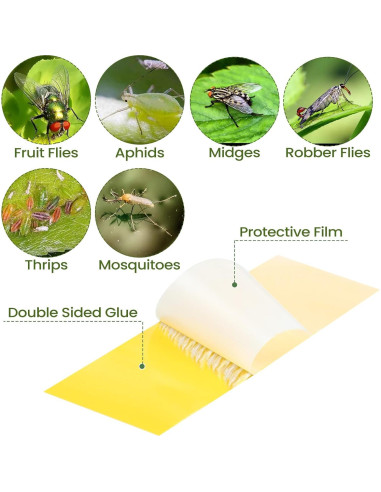 150 Trampas Adhesivas para Moscas de Hongos Qualirey Amarillo