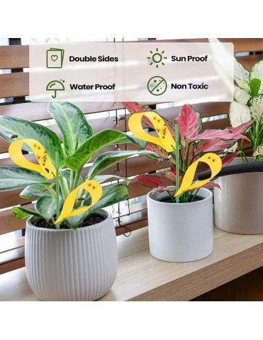 150 Trampas Adhesivas para Moscas de Hongos Qualirey Amarillo