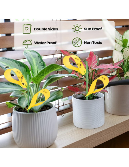 150 Trampas Adhesivas para Moscas de Hongos Qualirey Amarillo