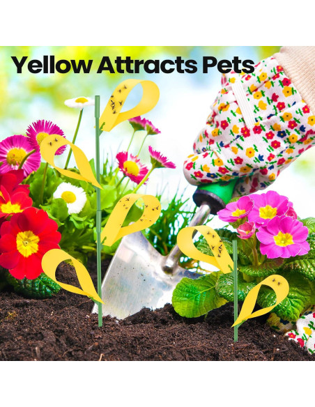 150 Trampas Adhesivas para Moscas de Hongos Qualirey Amarillo