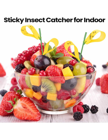 150 Trampas Adhesivas para Moscas de Hongos Qualirey Amarillo