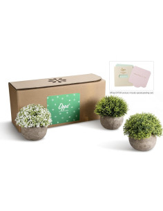 Set de 3 Plantas Artificiales OPPS en Maceta Gris 11.9 cm 2