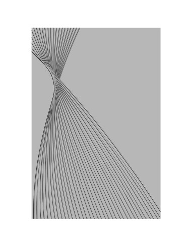 Carpeta de Embossing 3D Sizzix French Twist 15.9x10.8cm