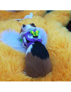 Pack 2 Arnés y Correa para Mascotas Pequeñas LIZEALUCKY S 2