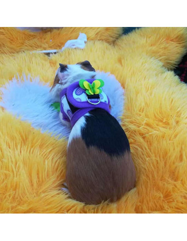 Pack 2 Arnés y Correa para Mascotas Pequeñas LIZEALUCKY S