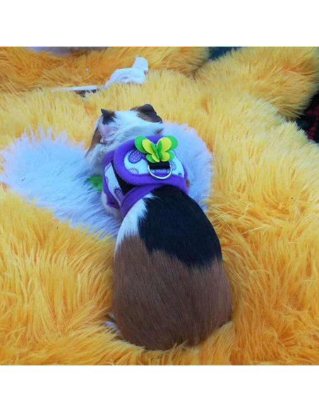 Pack 2 Arnés y Correa para Mascotas Pequeñas LIZEALUCKY S