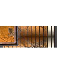 Terrario de Plástico Exo Terra Faunarium Mini 12.5x18x11.5cm 2