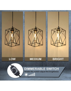 Luz Colgante Enchufable HMVPL con Regulador 16x24cm Negro 2