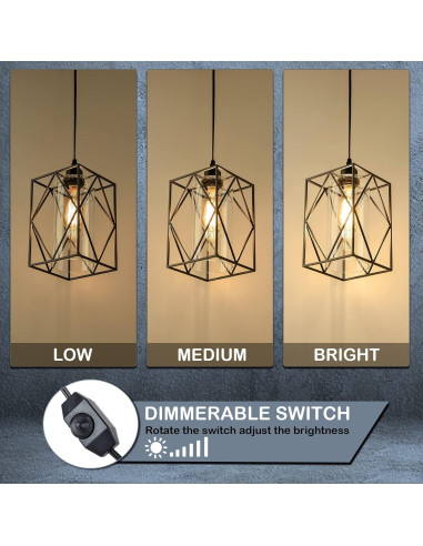 Luz Colgante Enchufable HMVPL con Regulador 16x24cm Negro