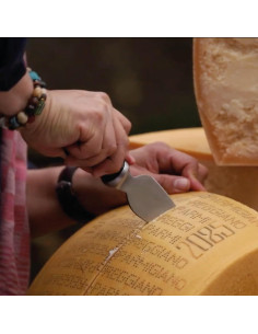 Cuchillo de Parmesano BOSKA Pro 90mm Acero Inoxidable 2