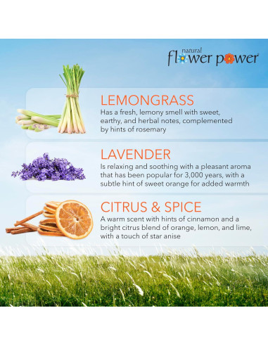 Aerosol Desodorante Natural Poder Floral - 3 x 118 ml