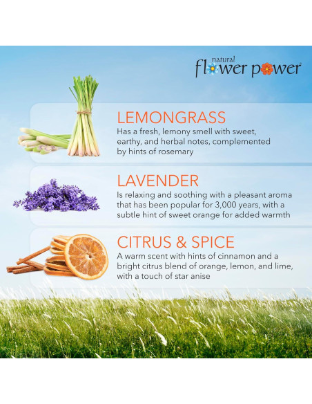 Aerosol Desodorante Natural Poder Floral - 3 x 118 ml